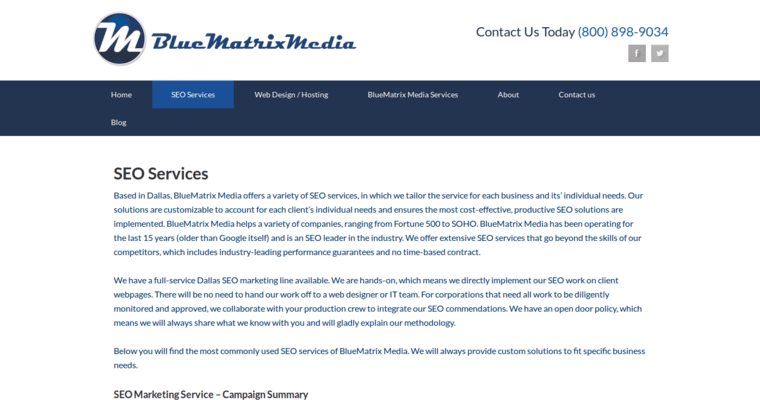 Service page of #1 Leading Bing Company: Blue Matrix
