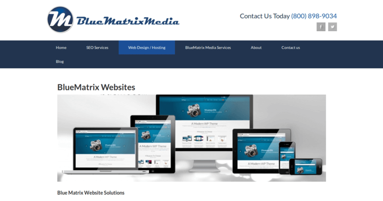 Websites page of #1 Leading Bing Firm: Blue Matrix