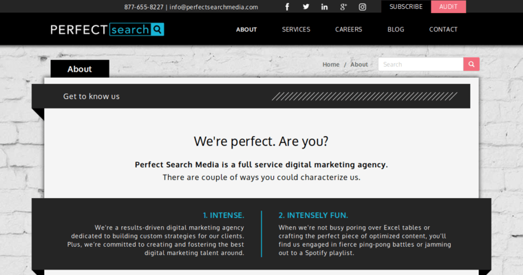 About page of #5 Top Chicago PPC Agency: Perfect Search Media