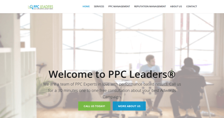 Home page of #5 Leading NYC Pay Per Click Agency: PPC LEADERS