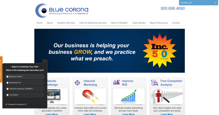 Home page of #1 Top Remarketing Pay-Per-Click Business: Blue Corona