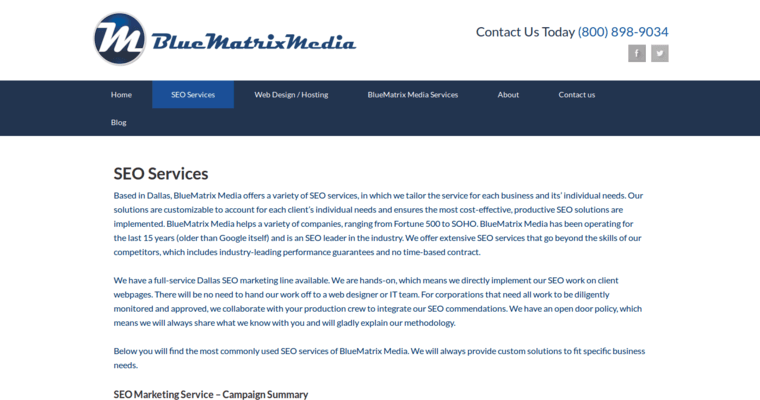 Service page of #1 Top Bing Firm: Blue Matrix