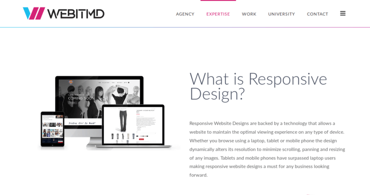 Development page of #1 Top LA PPC Firm: WEBITMD