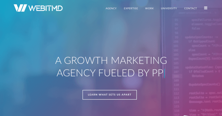 Home page of #1 Top LA PPC Agency: WEBITMD