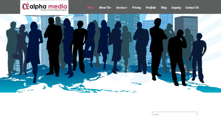 About page of #8 Leading LinkedIn PPC Company: Alpha Media