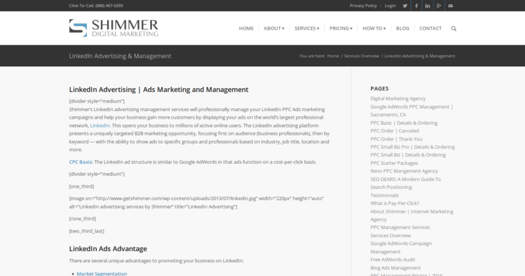 Home page of #3 Top LinkedIn PPC Company: Shimmer